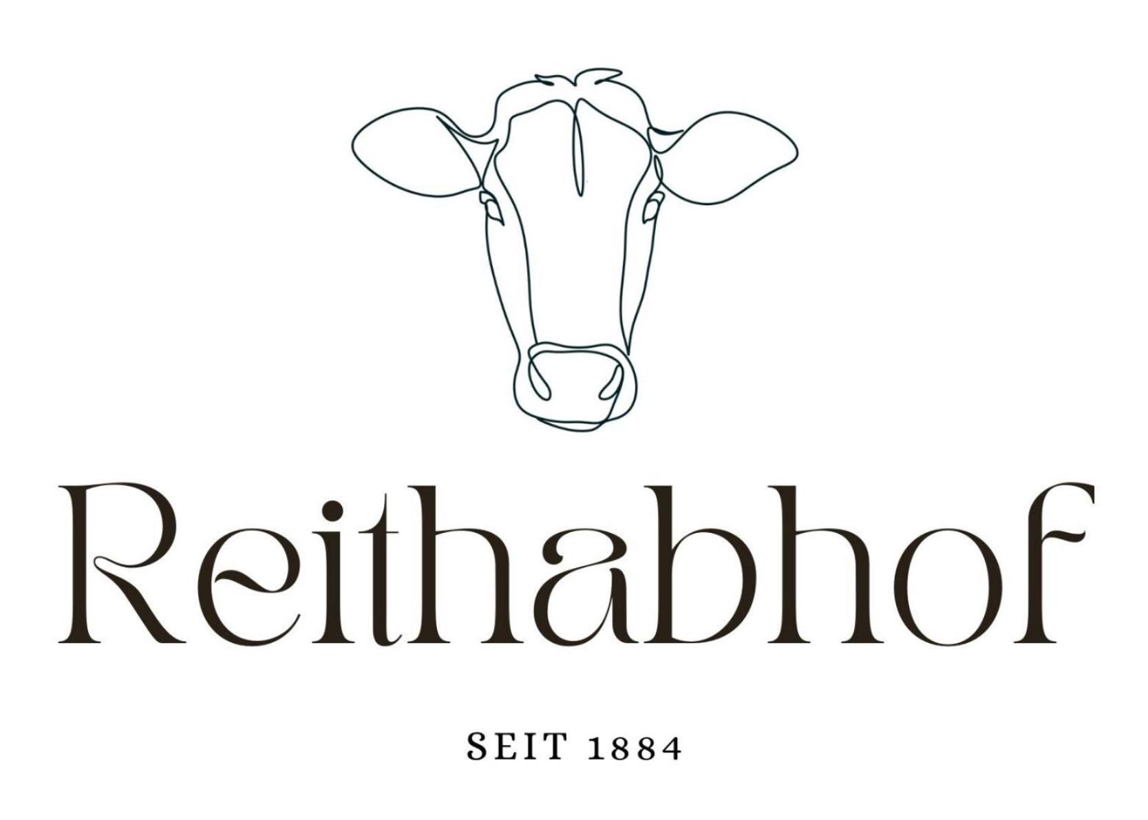 Reithabhof Apartments Шладминг Экстерьер фото